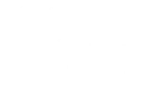 世界地図